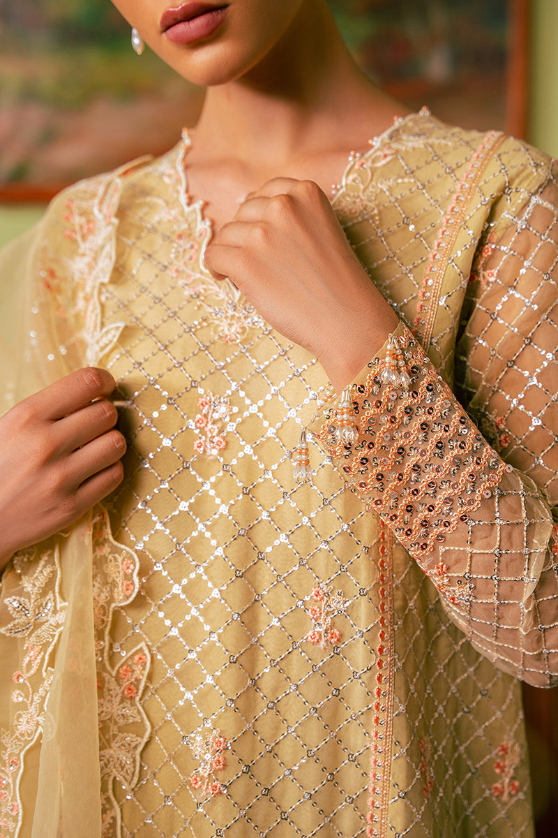 CANARY BUTTER-4 PIECE EMBROIDERED ORGANZA SUIT