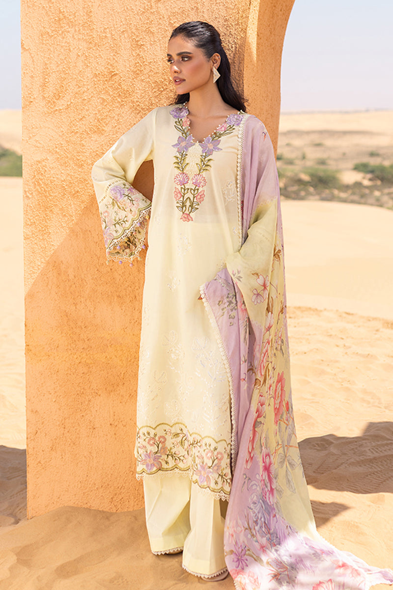 https://cdn.shopify.com/s/files/1/0178/4492/8612/files/33_44deefee-6439-4a00-adc3-3eec6375e186.jpg?v=1716460341