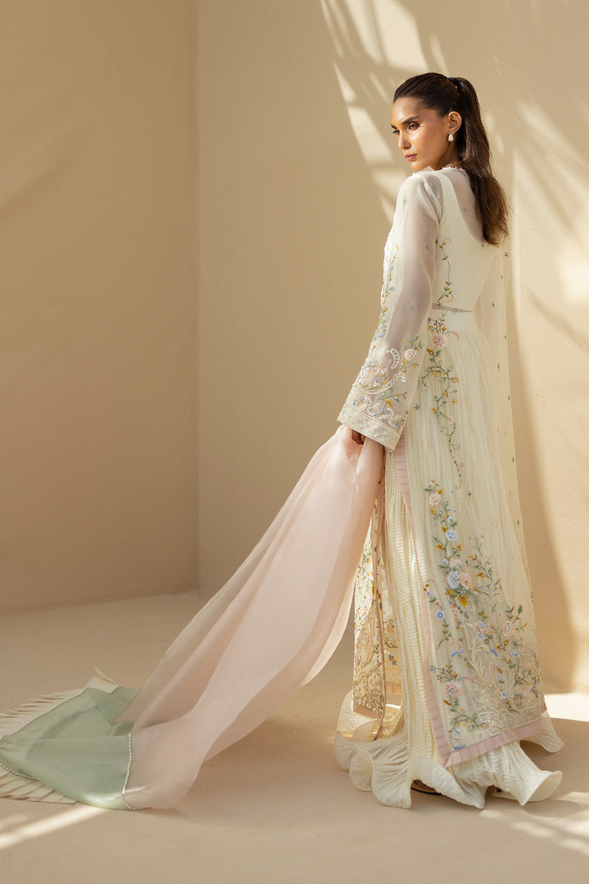 Occasion Luxe Edit '25