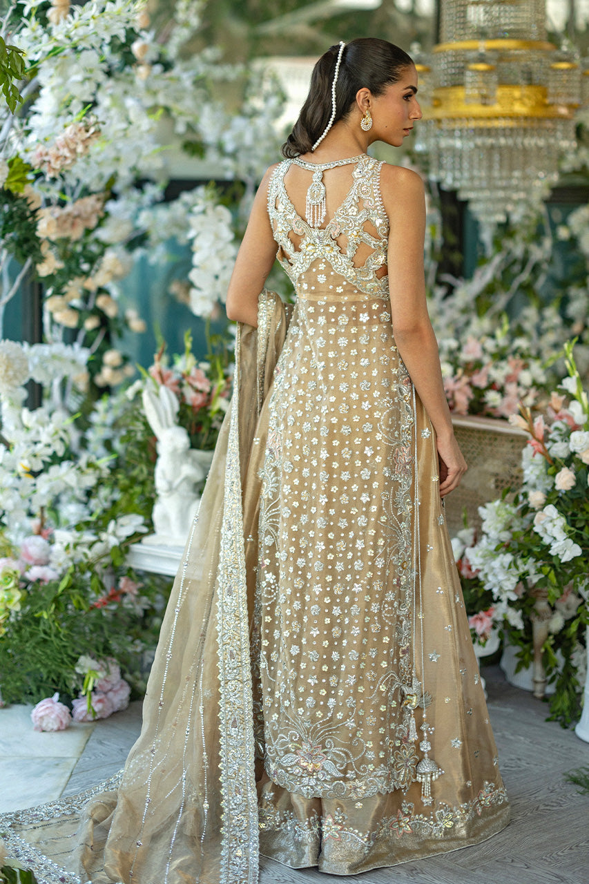 https://cdn.shopify.com/s/files/1/0612/6423/2692/files/35A0162.jpg?v=1775036977