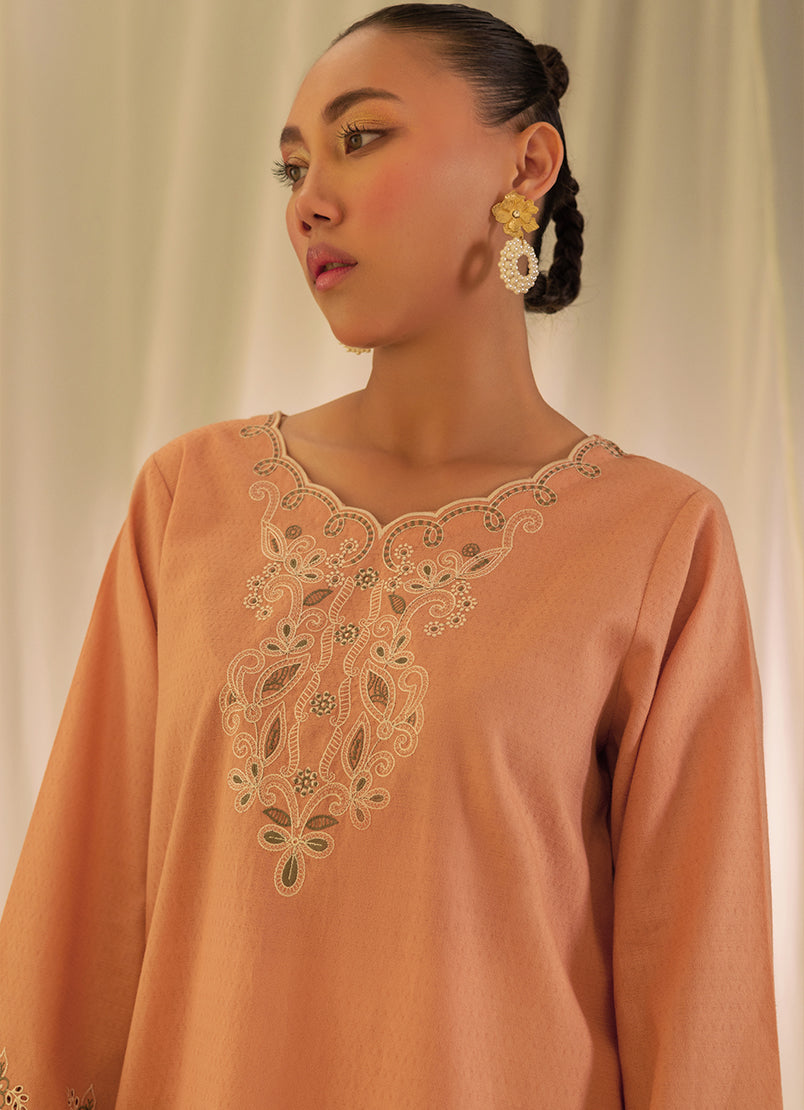 Embroidered Kurta - 12584251521020