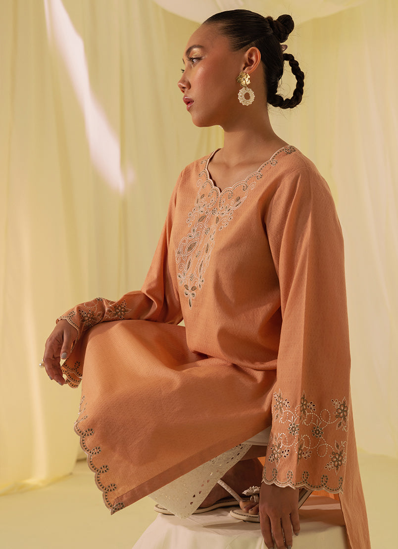 Embroidered Kurta - 12584251521020