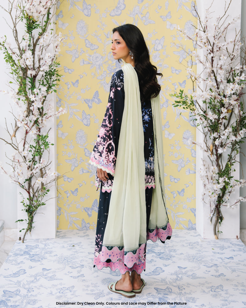 Starry dupatta