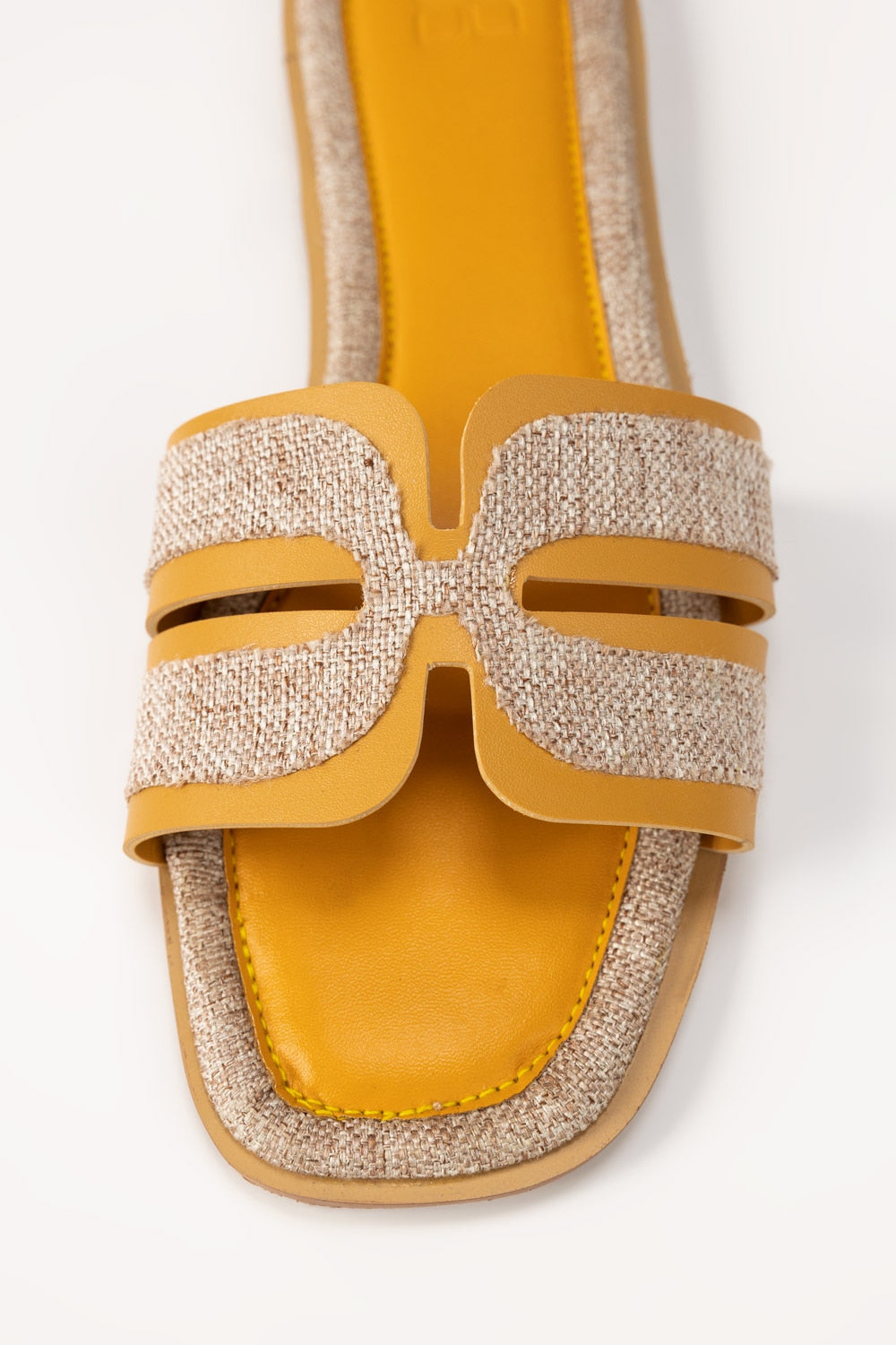 Yellow Slipper