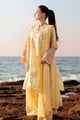 Embroidered Chiffon Fabric (3Pcs)
