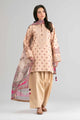2 Piece Embroidered Organza Suit