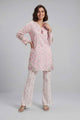 3 Piece Embroidered Velvet Suit