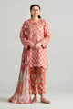 3 Piece Embroidered Velvet Suit