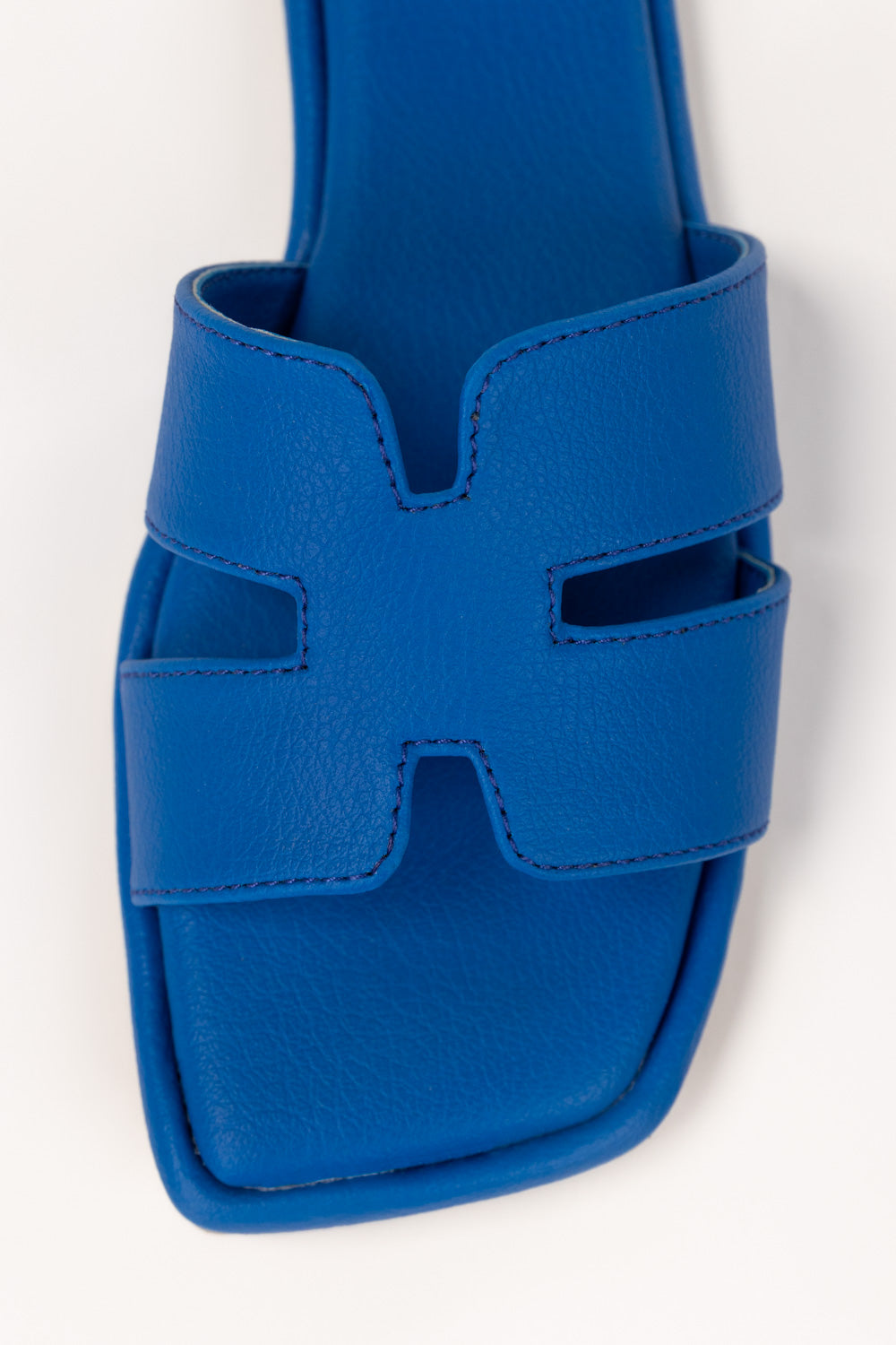 Blue Slipper
