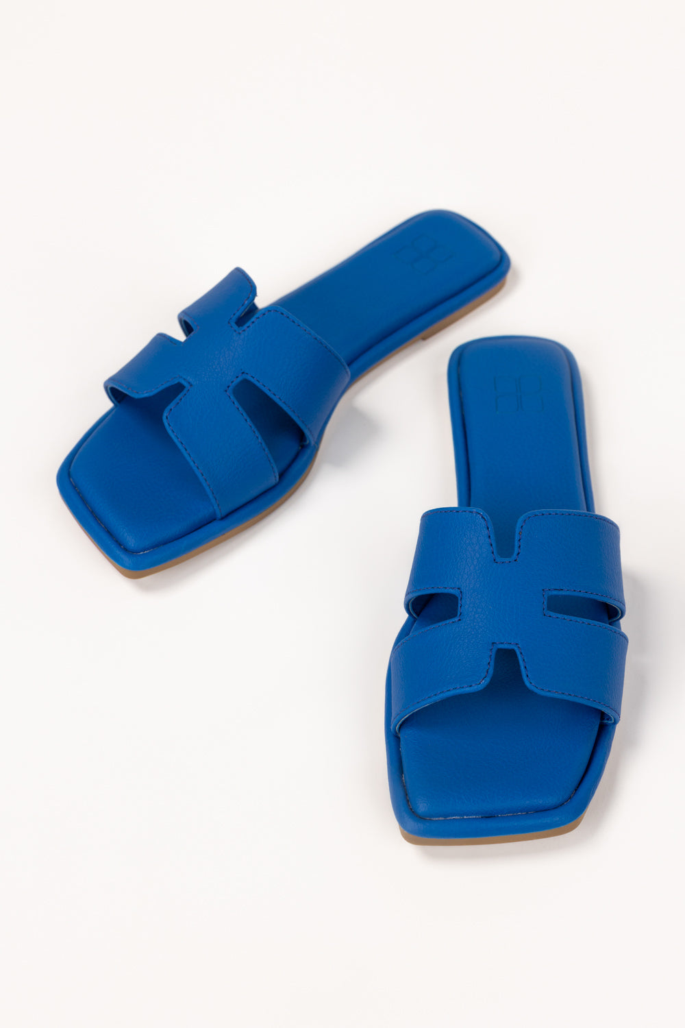 Blue Slipper