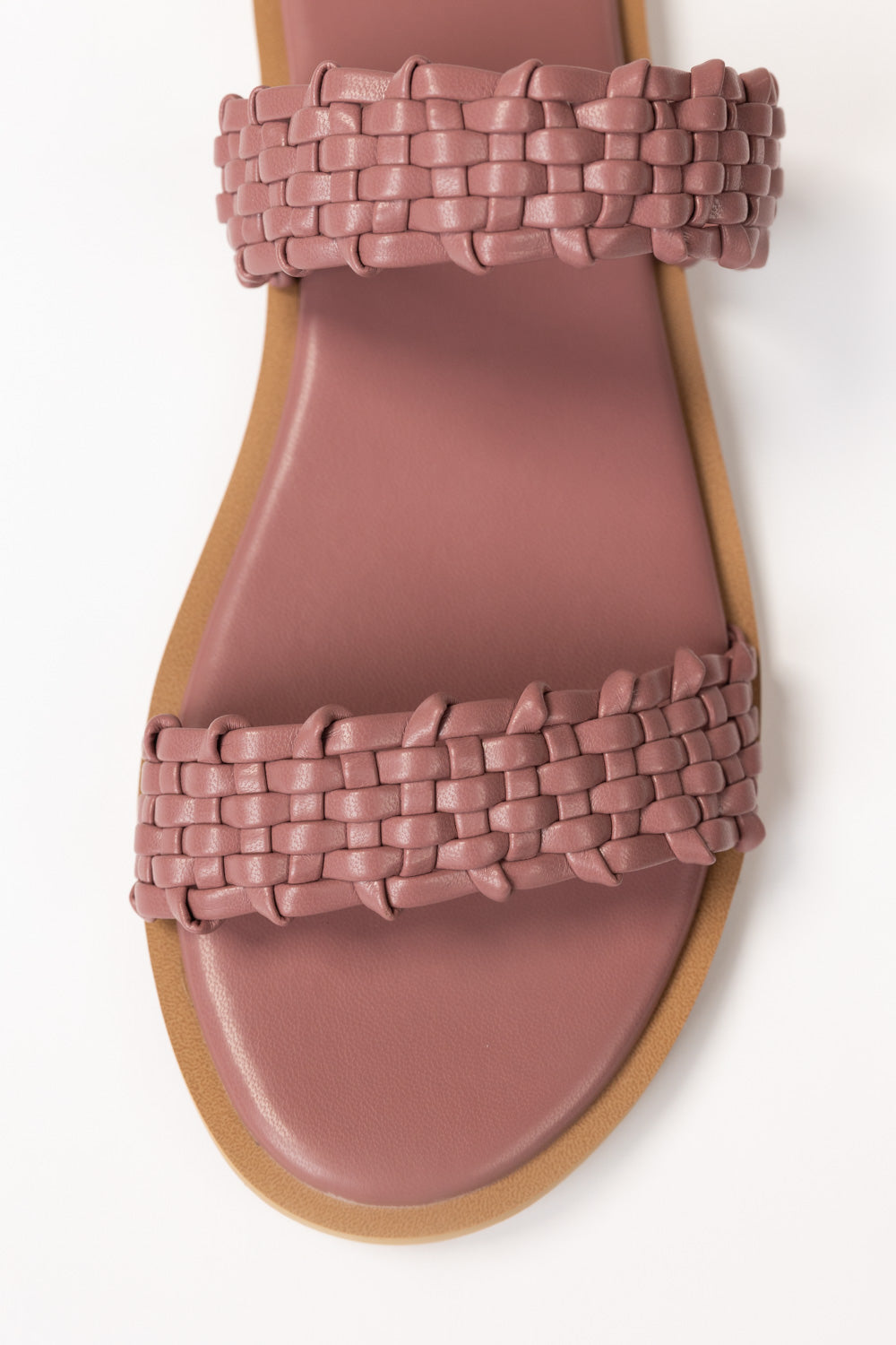 Purple Slipper