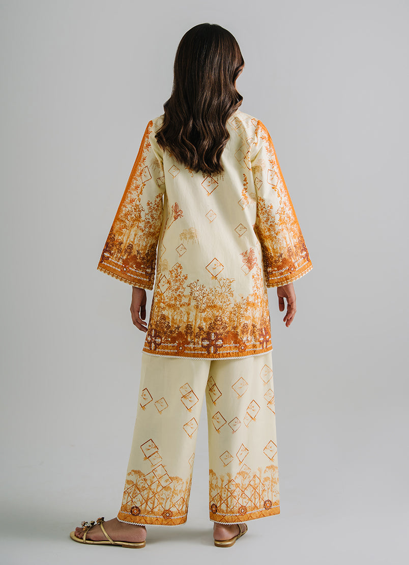 Printed Embroidered CO-ORD Set13515201502020