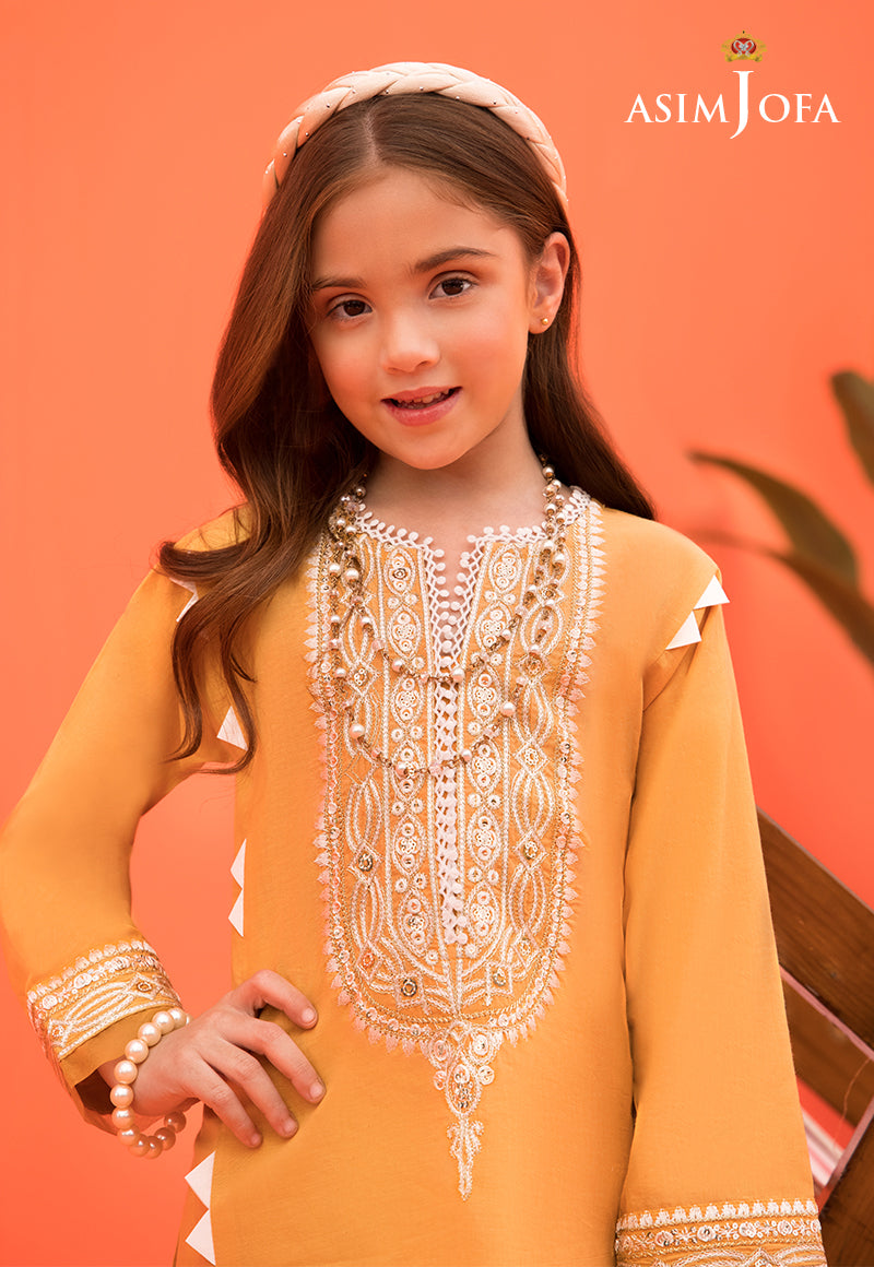 Asim Jofa