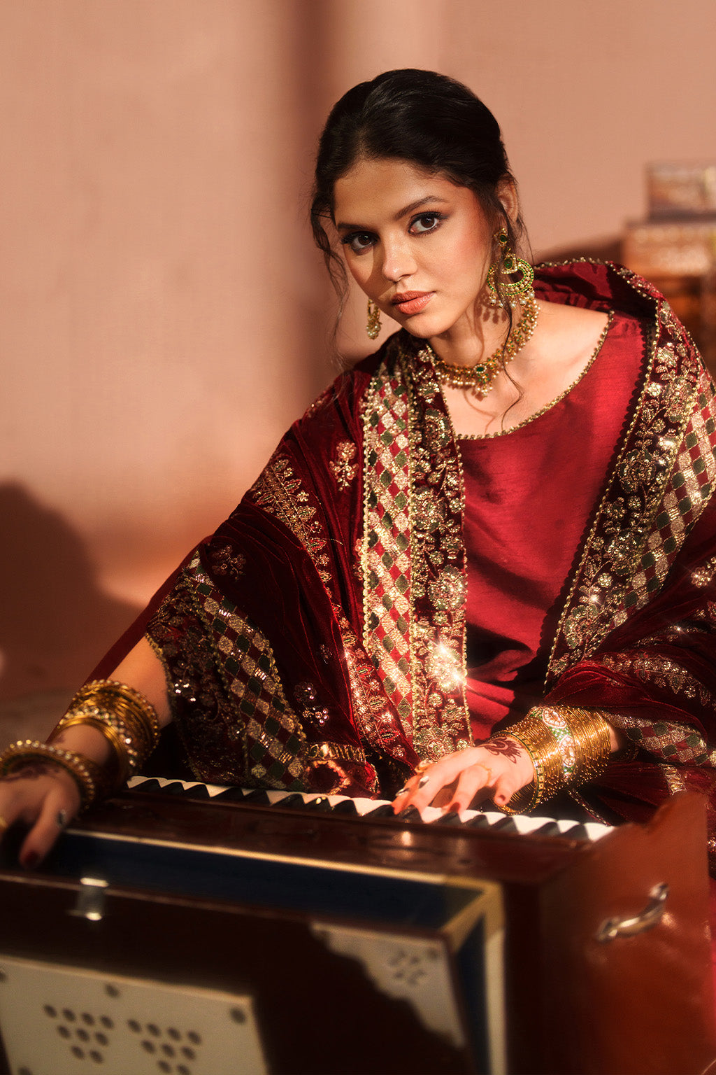 IV-56 Embroidered Velvet