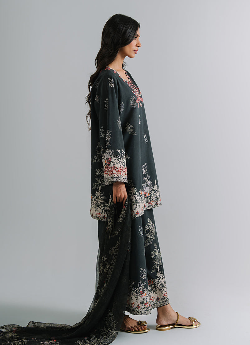 3 PC Printed Embroidered Suit