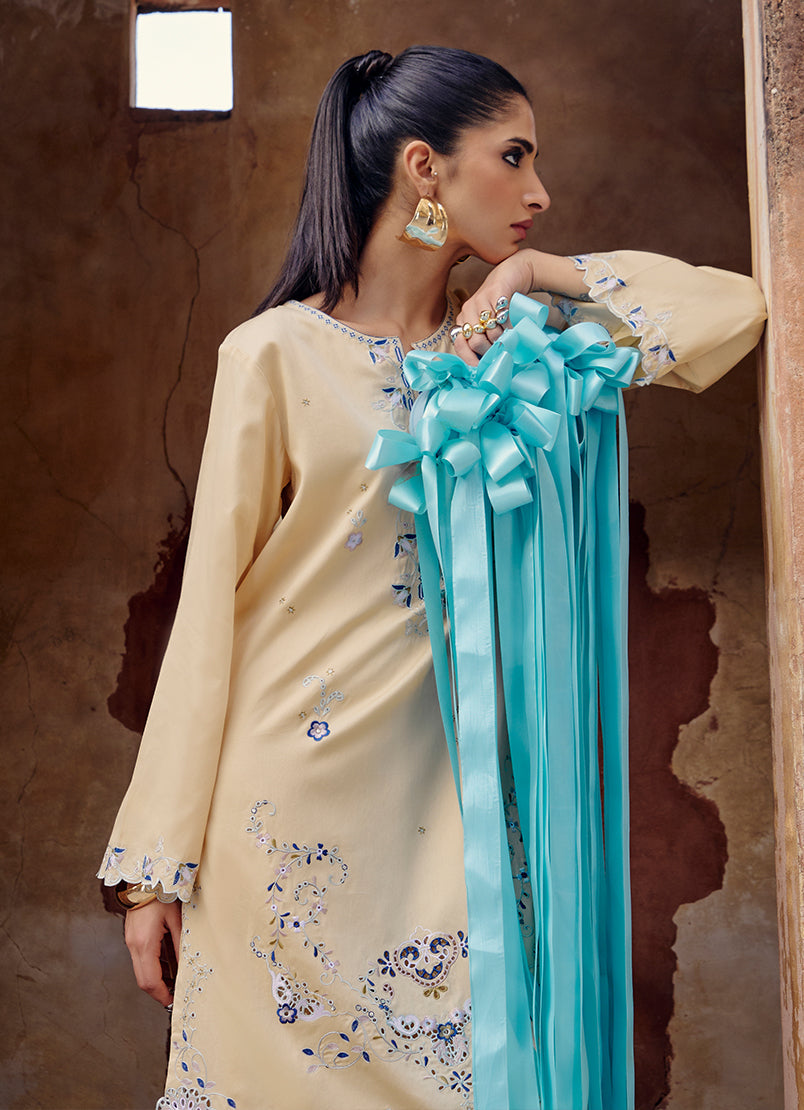 Embroidered CO-ORD Set13118451501020