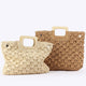 Paola Raffia Bag with Handle