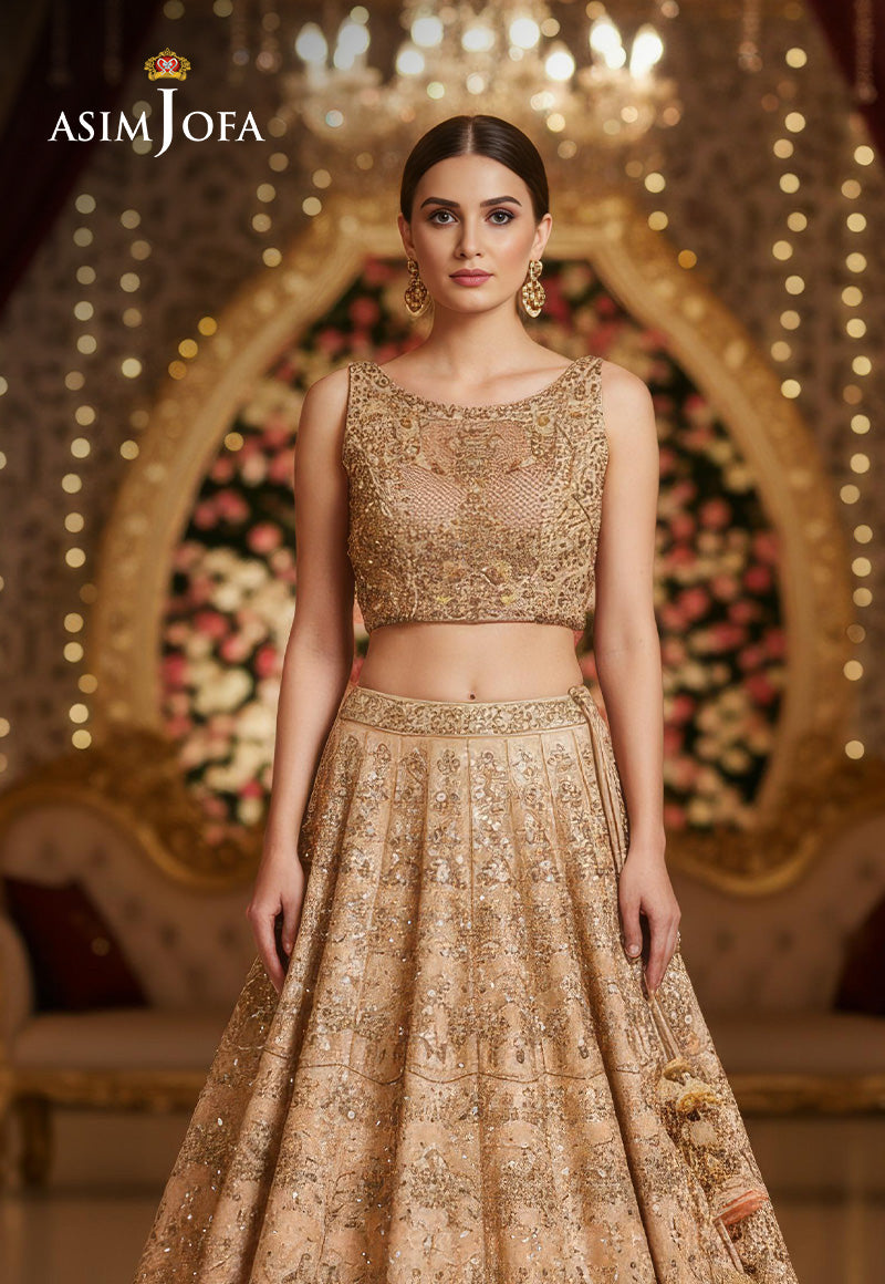 AJBRD-35 Embroidered Choli STITCHED 1 PC