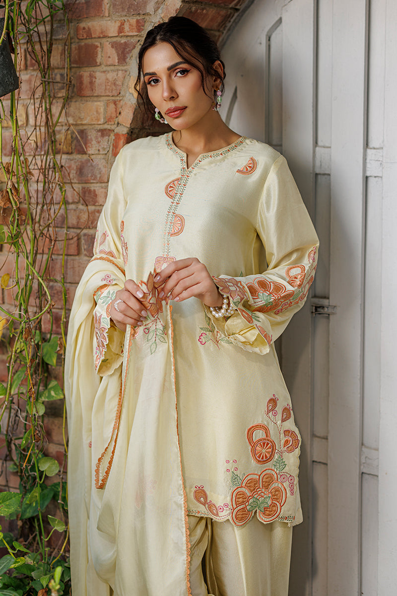 Capri Shirt and Dupatta