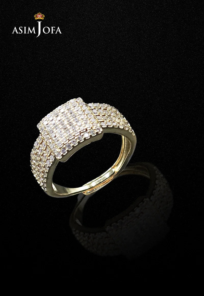 https://cdn.shopify.com/s/files/1/0690/7320/7593/files/AJJRI-246_24.webp?v=1748416716