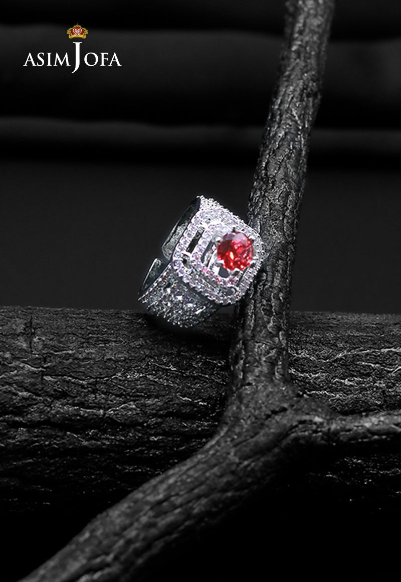 https://cdn.shopify.com/s/files/1/0690/7320/7593/files/AJJRI-38.jpg?v=1735217071
