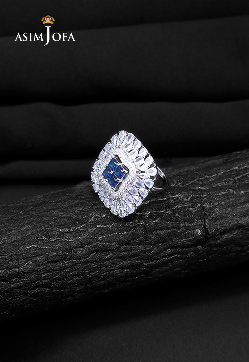 https://cdn.shopify.com/s/files/1/0690/7320/7593/files/AJJRI-39.jpg?v=1735217070