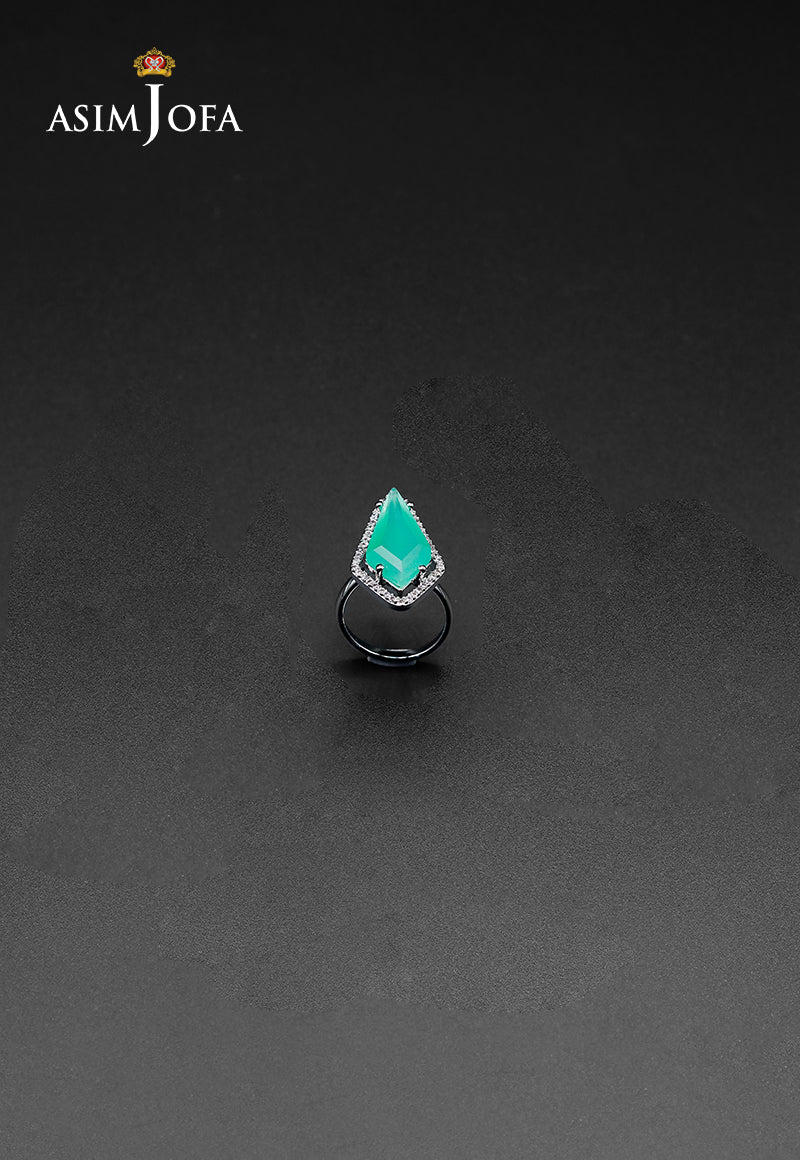 https://cdn.shopify.com/s/files/1/0690/7320/7593/files/AJJRI-43.jpg?v=1748667758