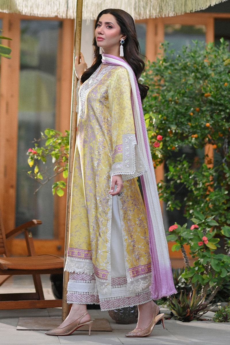 Paloma Shirt and Dupatta