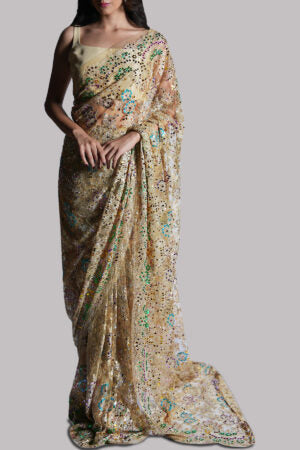 Lamb’s Wool Embellished Chantilly lace Sari