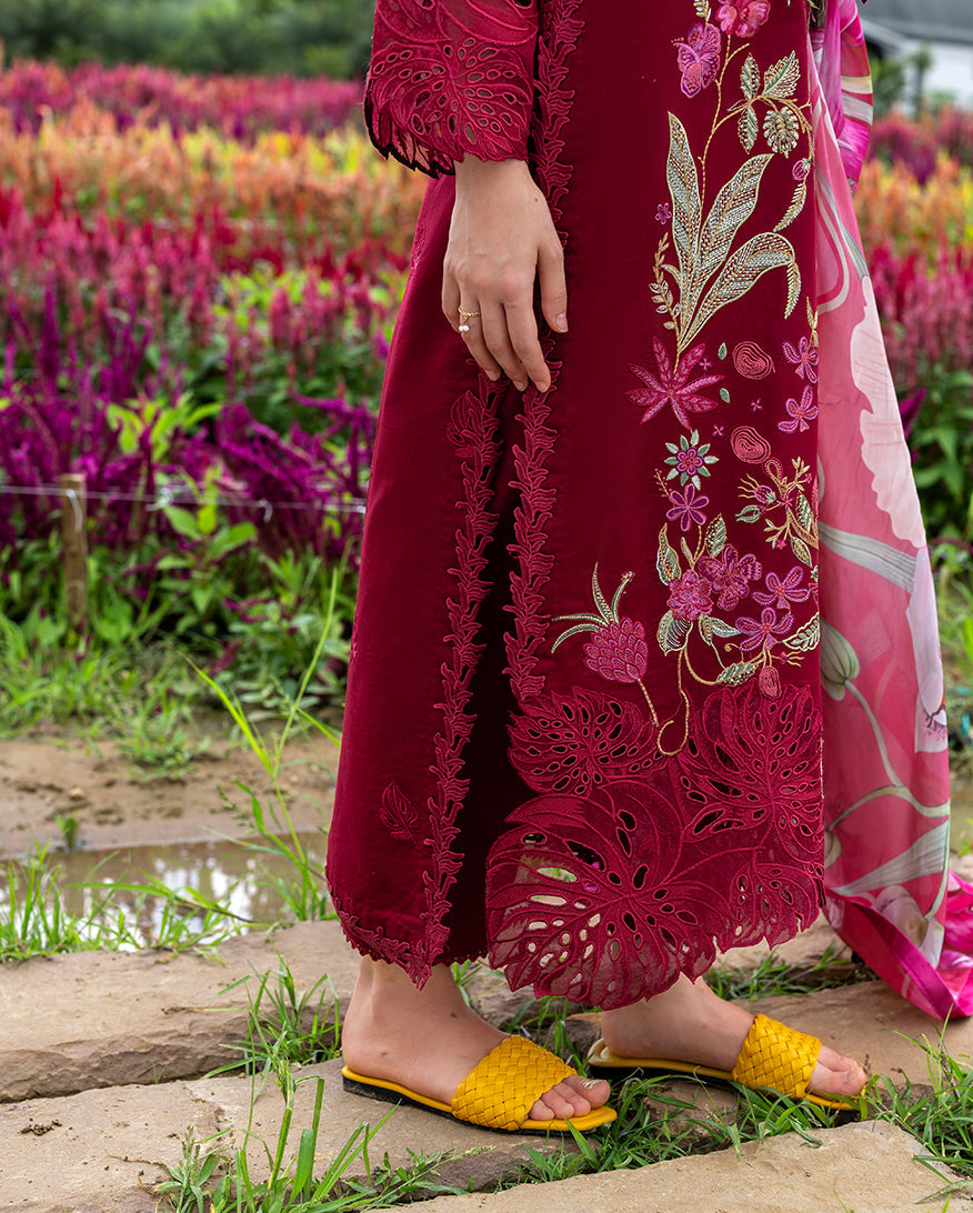 https://cdn.shopify.com/s/files/1/0539/7318/8776/files/AuroraPetals_5.jpg?v=1768899590