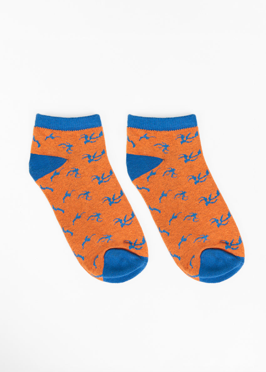 https://cdn.shopify.com/s/files/1/0872/1278/5848/files/BCMTLO3_1.jpg?v=1775556664