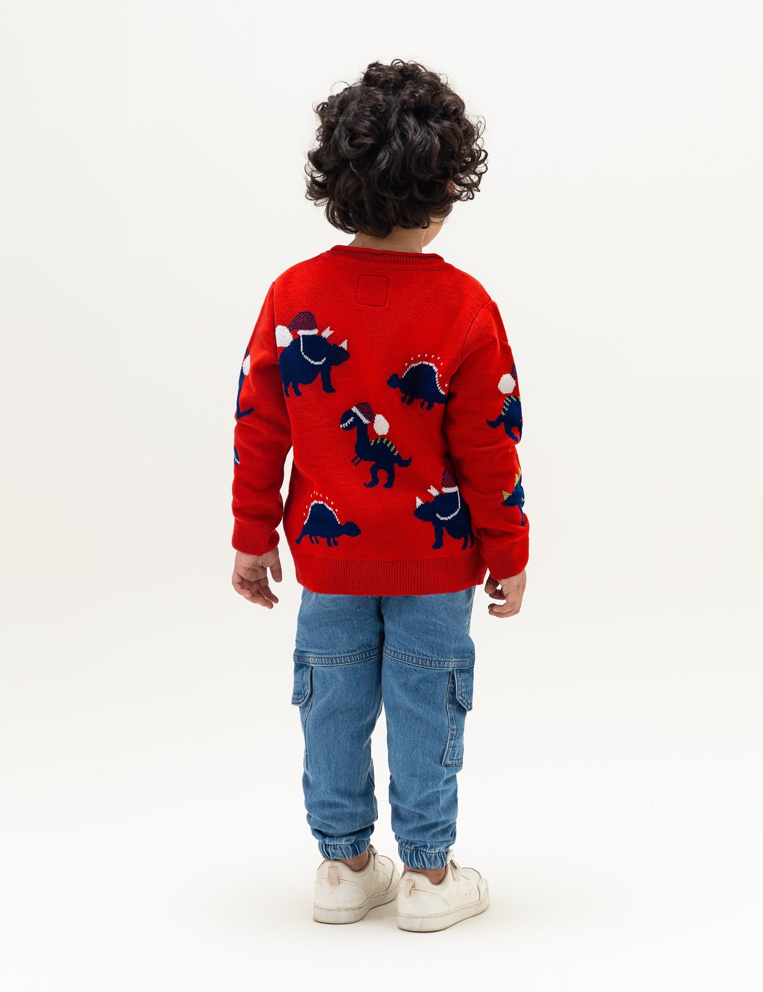 Dinosaur Graphic Sweater