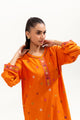 2 Piece Embroidered Viscose Suit (Pret)