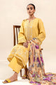 Plain Dupatta