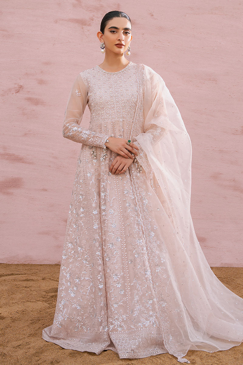 CARNATION CHARM-2PC ORGANZA EMBROIDERED PRET