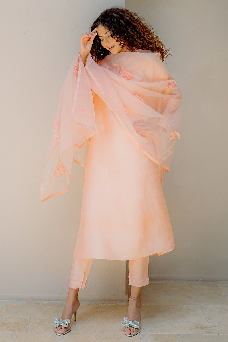 Naaz Dupatta