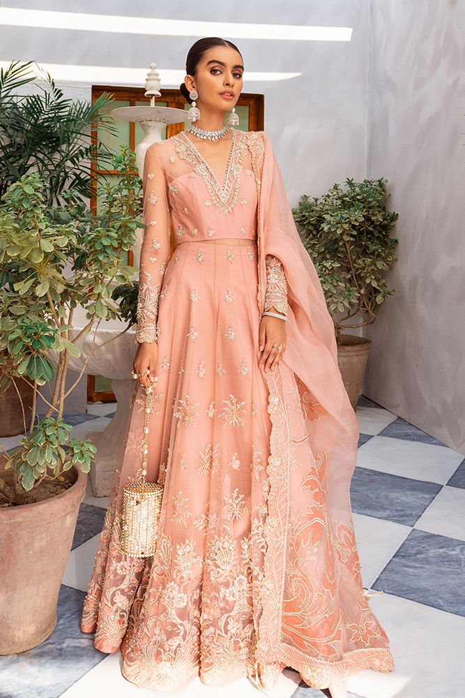 https://cdn.shopify.com/s/files/1/1146/5868/products/DSC01152.png?v=1605796966