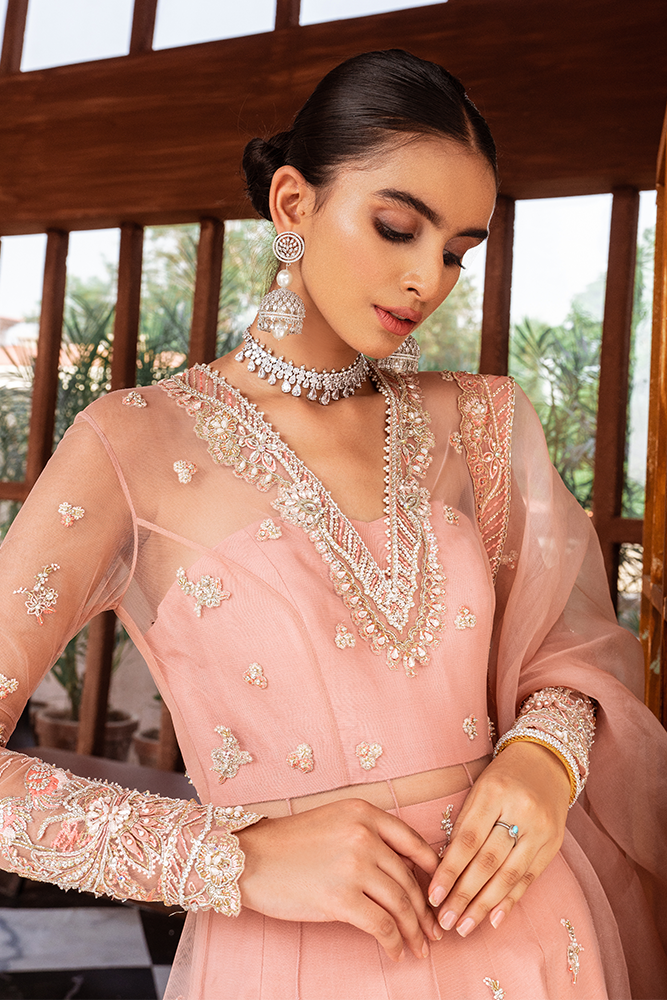 https://cdn.shopify.com/s/files/1/1146/5868/products/DSC01213.png?v=1605796969