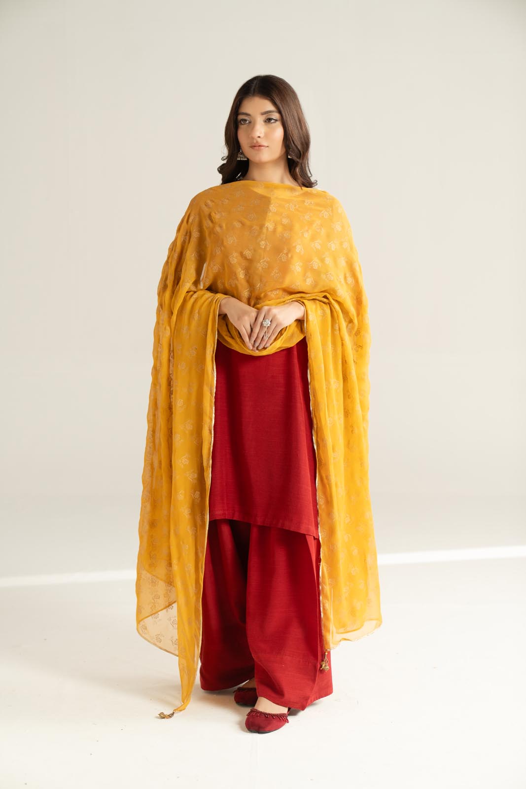 1 Piece Chiffon Printed Stole (CO0040)