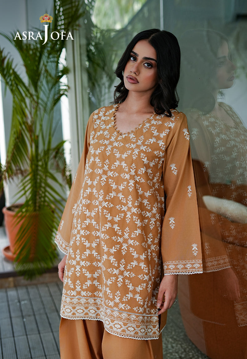 ASAE-03 Embroidered Pret 2 Pcs