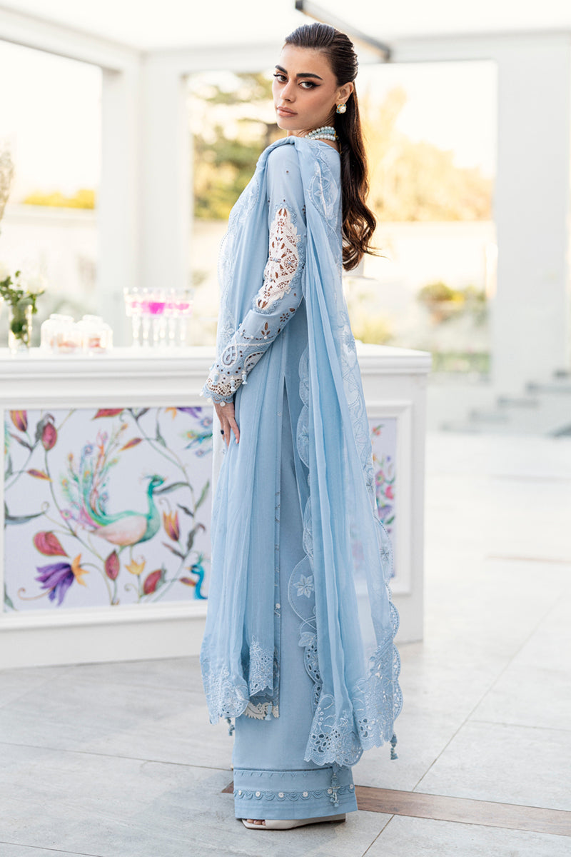 https://cdn.shopify.com/s/files/1/2044/1461/files/DSC07610.jpg?v=1740655173