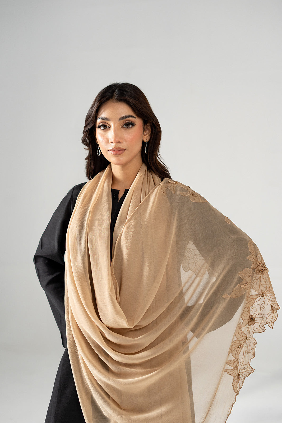 1 Piece Chiffon Embroidered Dupatta (FD0133)