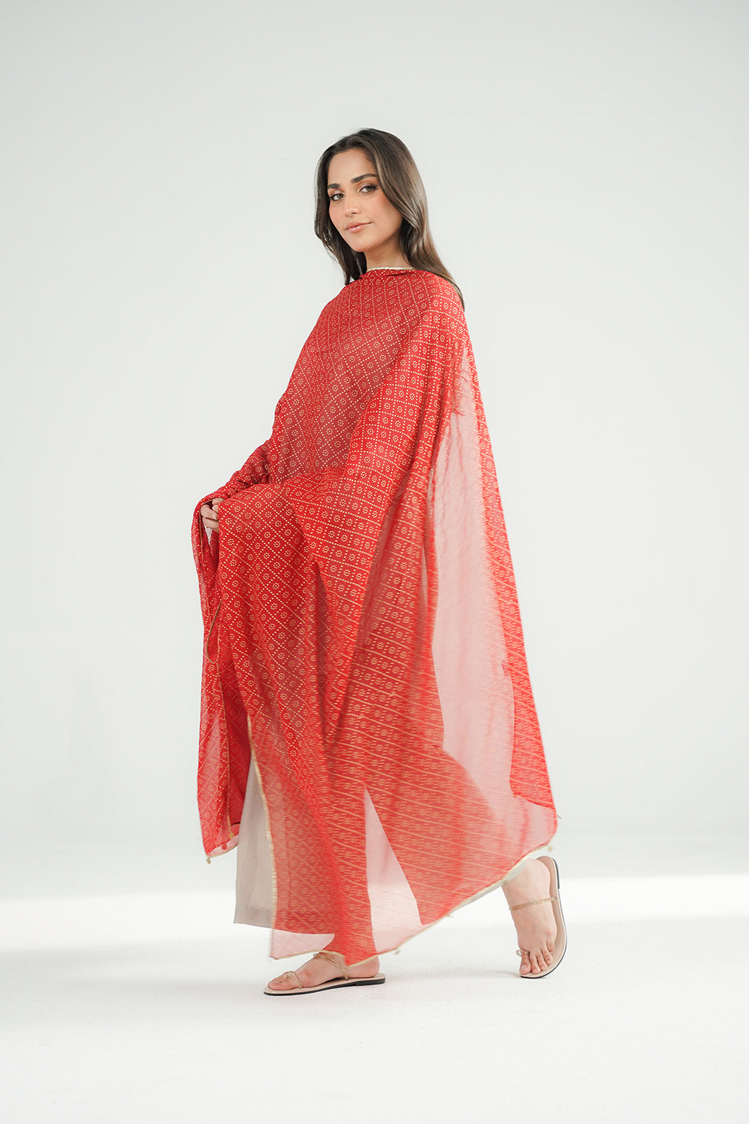 1 Piece Printed Chiffon Printed Stole (CO0031)
