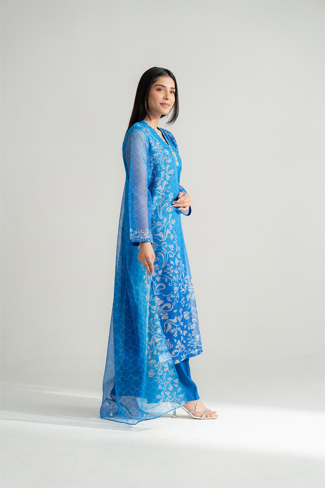 3 Piece Rajo Net Printed Embroidered Suit (FS0152)
