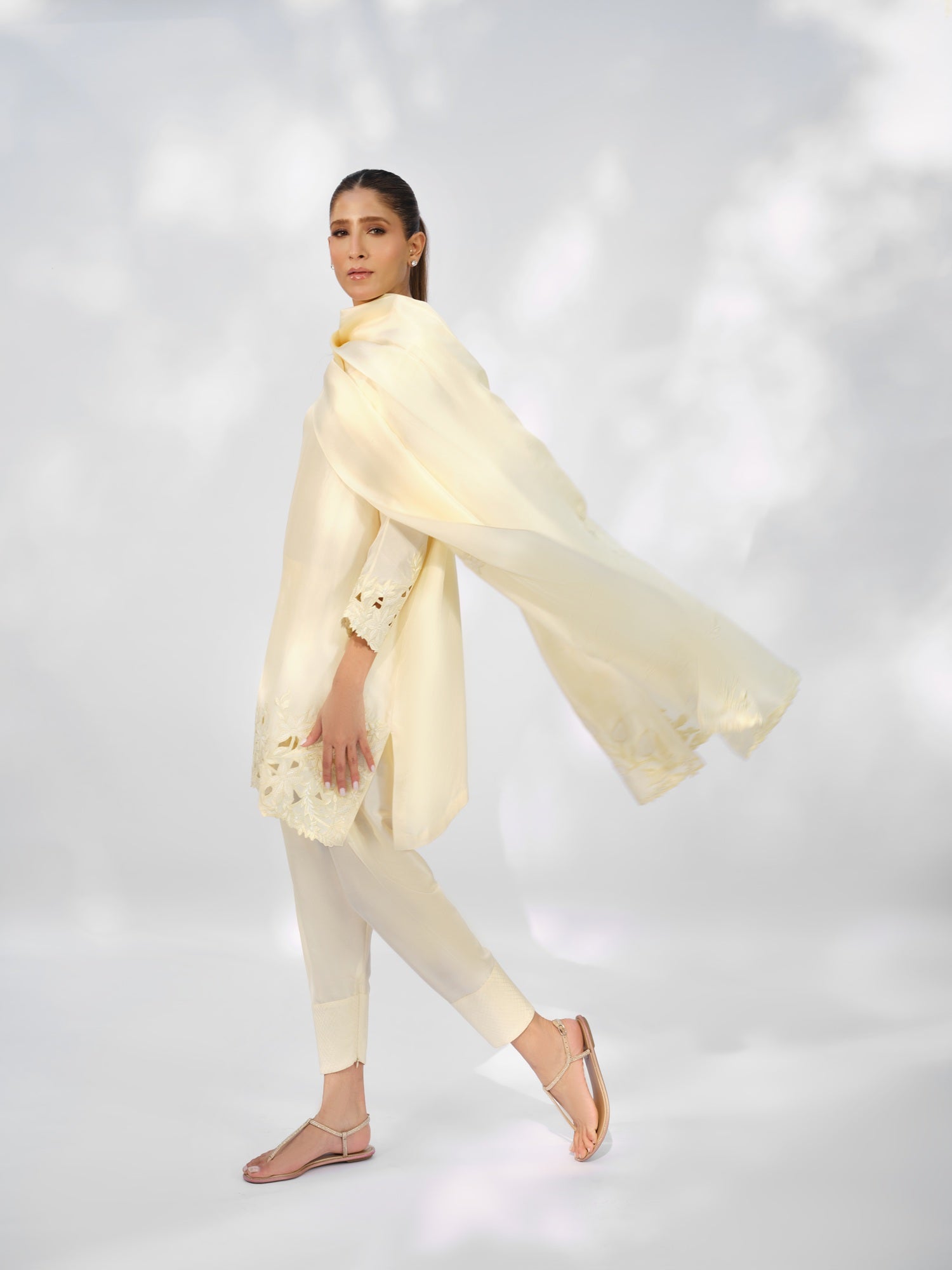The Alani Set