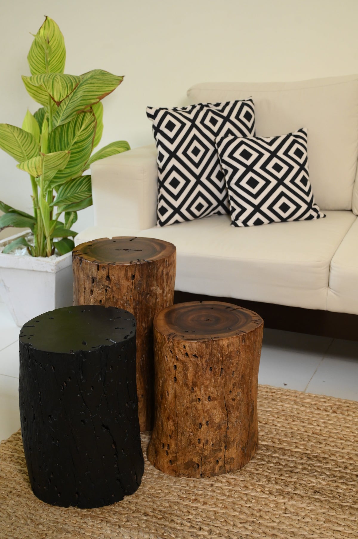Sheesham Coffee Table Set of 3