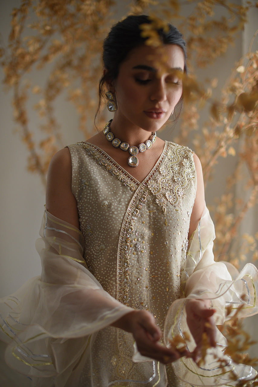 Nadia Farooqui