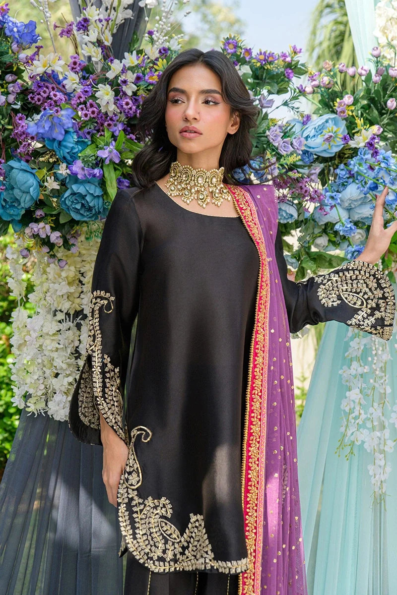 Zinni Black