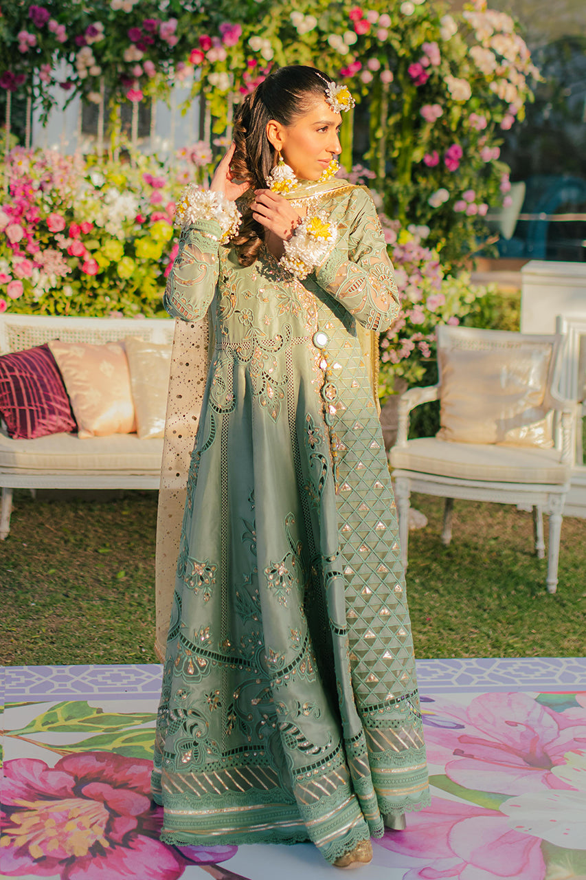 Nadia Farooqui
