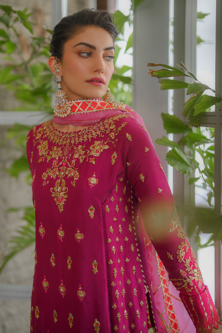 Nadia Farooqui